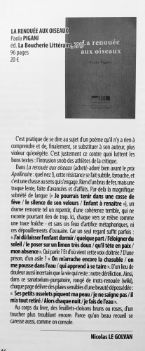 article la renouée aux oiseaux Dissonances.jpeg