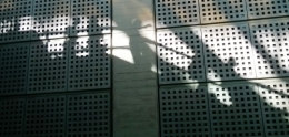 Ombres de Roissy.jpg