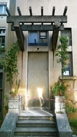Fin des roses à HEH.jpg