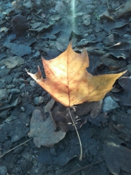 20201124_154205.jpg