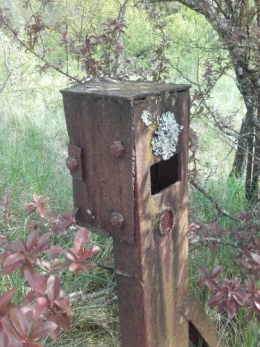 boîte aux lettres sous bois 2.jpg
