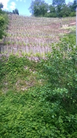 balade page blanche 2.jpg