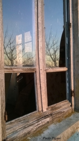fenêtre d'hiver.jpg