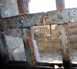 DSC_0157.jpg