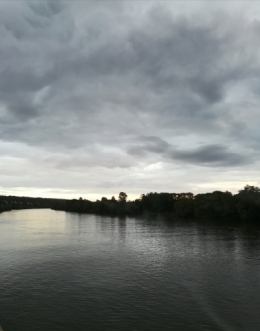 IMG_20240708_130431.jpg