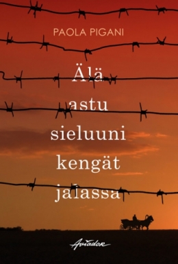 ala-astu-sieluuni-kengat-jalassa.jpg