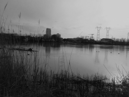 20210116_145725.jpg