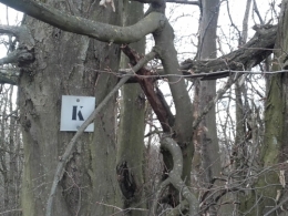 20210120_104140.jpg