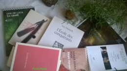 lectures d'été.jpg