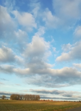IMG_20240204_164601.jpg