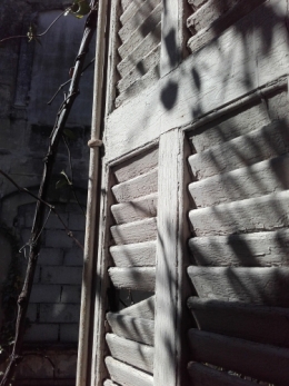 arles persiennes écaillées.jpg