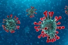 5e2c3e656c231_dt_200121_coronavirus_800x450-1267327.jpg