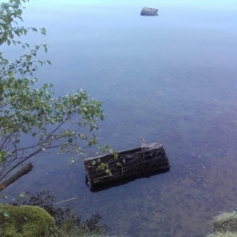 leçon de flottaison.jpg
