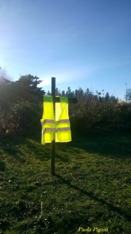 gillet jaune.jpg
