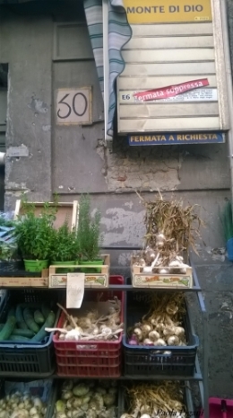 Monte di Dio.jpg
