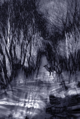 Biche2.jpg
