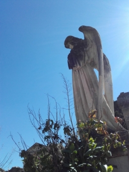 arles l'ange poivré.jpg