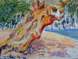 on thebeach, sur la plage