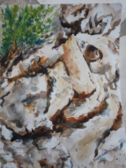 nimborio 4