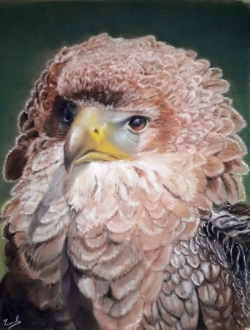 Buse variable