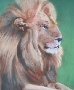 Le roi lion