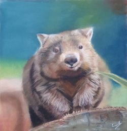 Wombat
