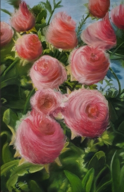 Benoîtes rampantes