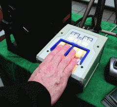 passeport-biometrique.gif