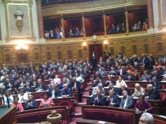 senat.jpg