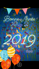 bonne année 2019b.png