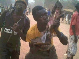 africa.jpg
