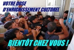 téléchargement.jpg