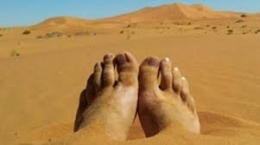 algérie,désert,migrants
