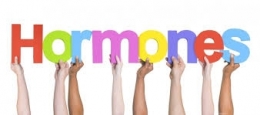 hormone,hostilité à l'immigration