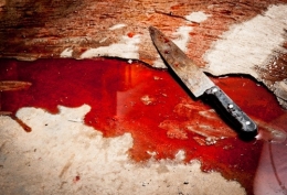 film d'horreur,massacre,migrant,racisme,suède