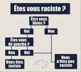 schema-mental-gauchiste.jpg