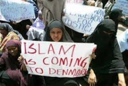 Résultat de recherche d'images pour "islamisme danemark"