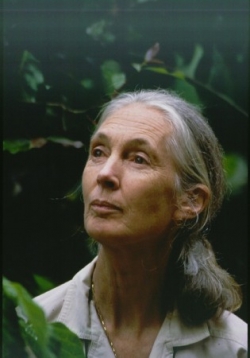 Jane Goodall (1934)