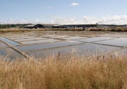 #13 Salé Août 2013 Guérande.JPG