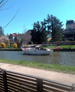 IMG_20230404_144351.jpg
