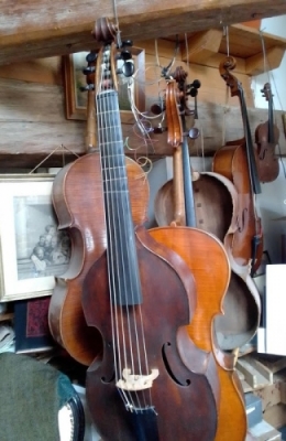 luthier 20210303 (2).jpg