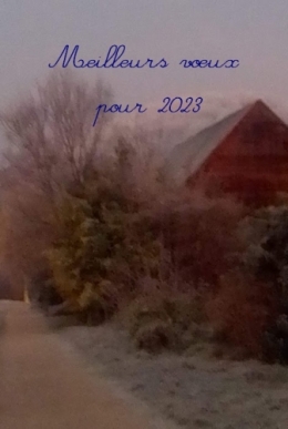 2023 Bonne année.jpg