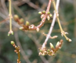 24 décembre 2014 (4).JPG