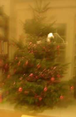 Sapin 2 2011.JPG