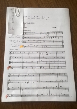 Partitions violes 20092015 (1).jpg