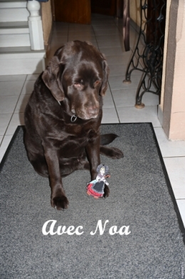 liesele en alsace et dans l'herault (10).JPG