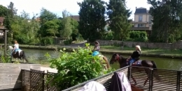 31 juillet 2015 (2).jpg