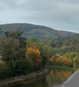#41 Automne (2).jpg