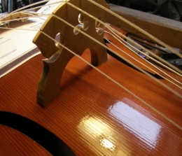 Luthier 2 mai 2015 (12).JPG