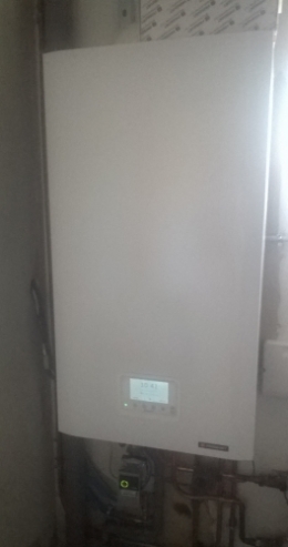 WP_20190411_001.jpg